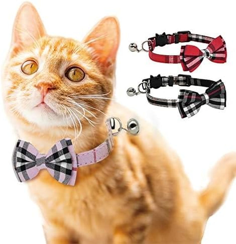 Adorable 2 Pack Cat Collars with Breakaway s and Bells - Adjustable for Kittens and Small Puppies (Black & Red)